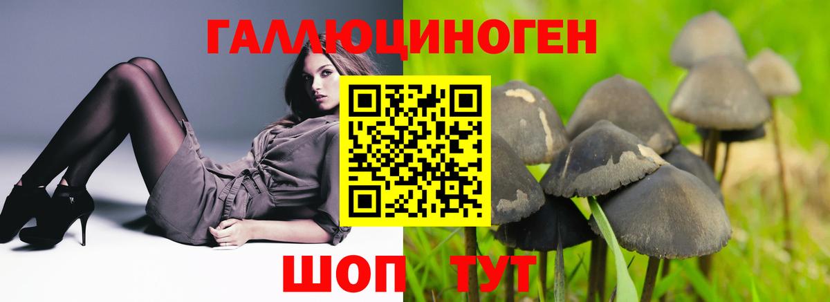 Галлюциногенные грибы мухоморы Люберцы
